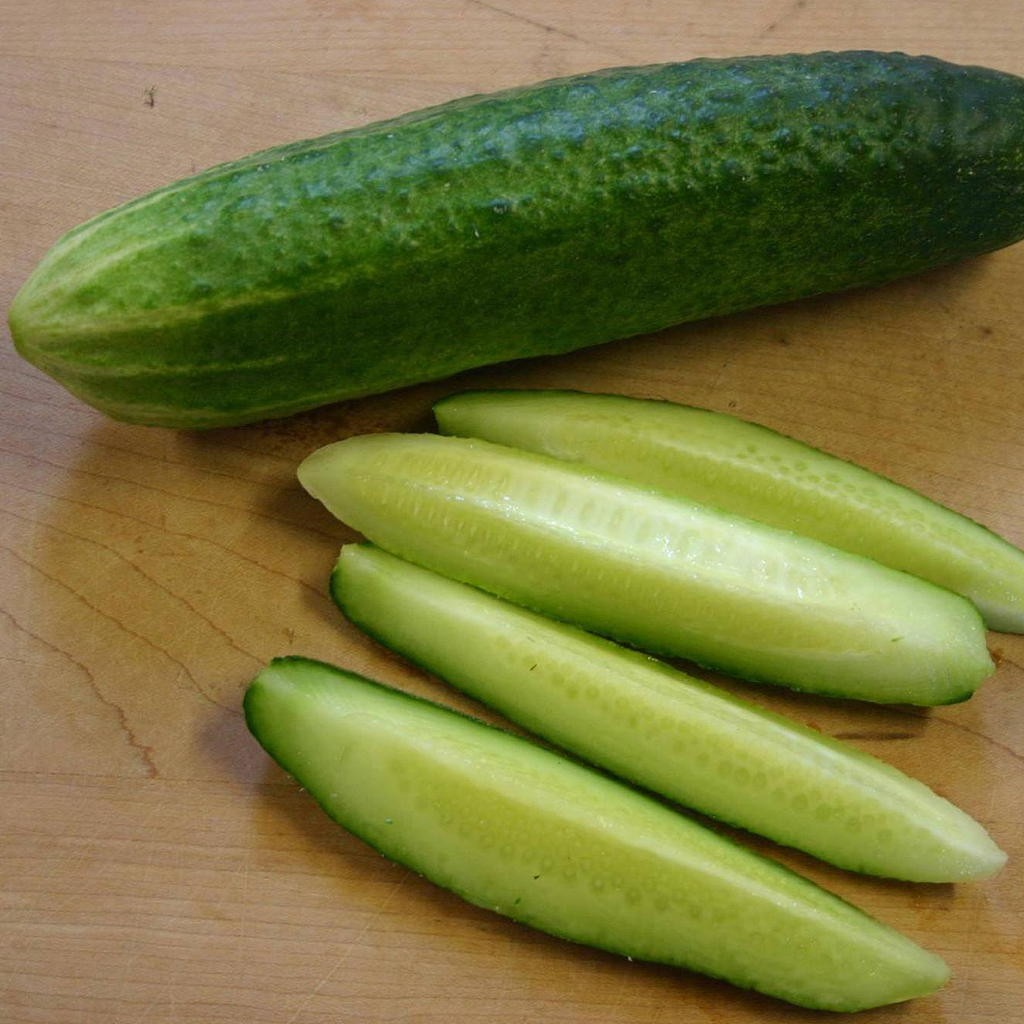 Concombre Delikatess Les Jardins Du Vallurot