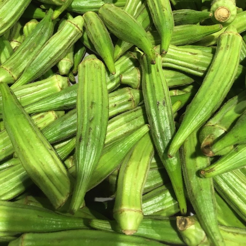 Gombo En Francais Okra At Paul Hunter Blog Gombo En Francais Okra At Paul Hunter Blog